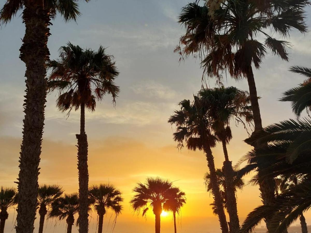 101 Playa Honda, Playa De Las Americas المظهر الخارجي الصورة